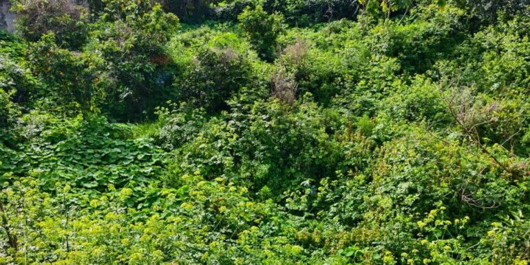 2026020582202-1022699-2