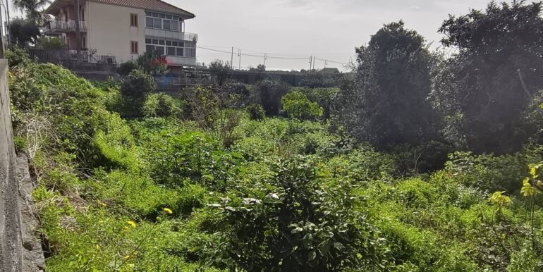 2026020582207-1022699-4