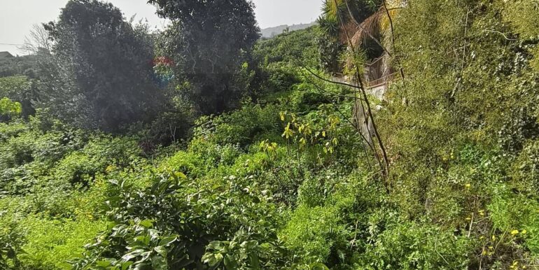 2026020582210-1022699-5