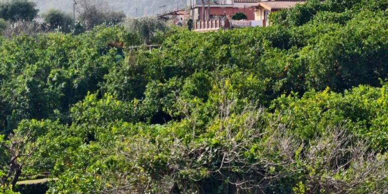 2026020582221-1022699-10