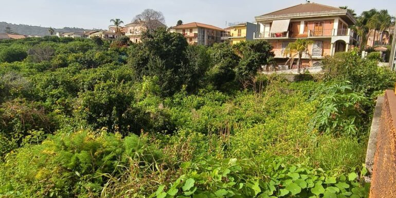 2026020582224-1022699-11