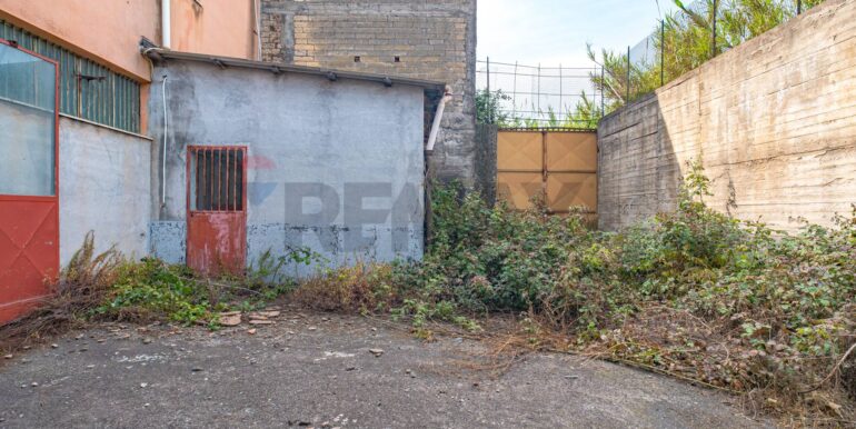 20260206105018-1023032-11