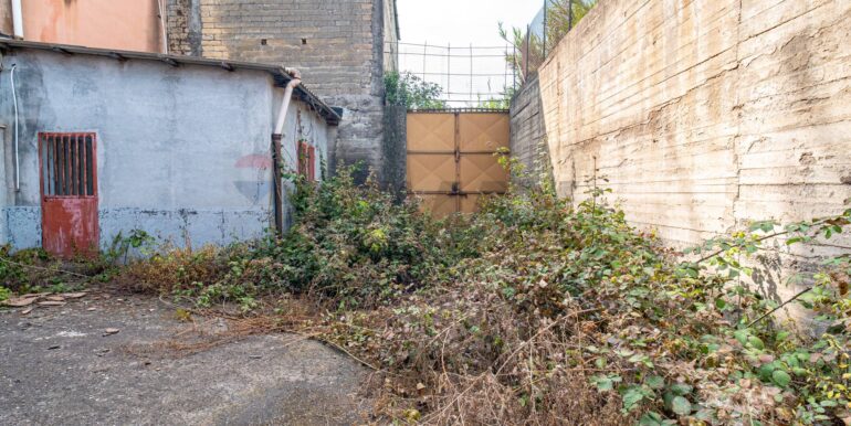 20260206105020-1023032-13