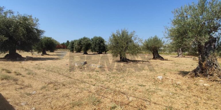 20260206120731-1023038-3