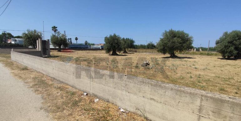 20260206120738-1023038-5