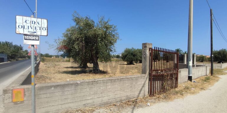 20260206120746-1023038-7