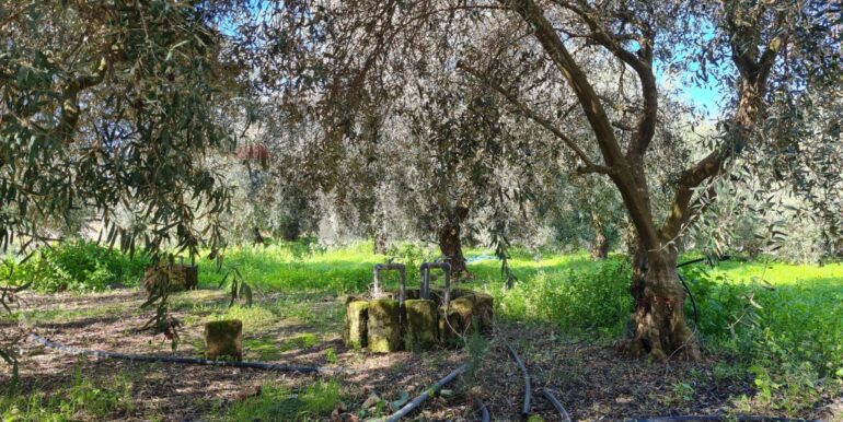 20260210130232-1023984-25