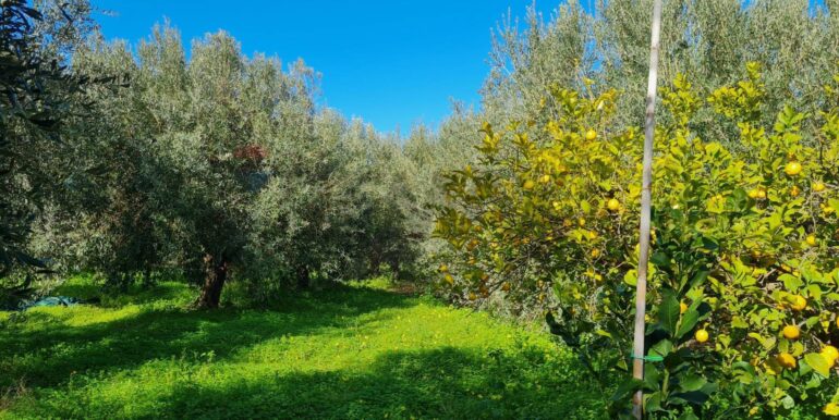 20260210130237-1023984-27