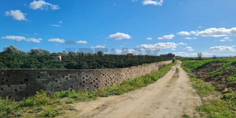 20260210130256-1023984-34