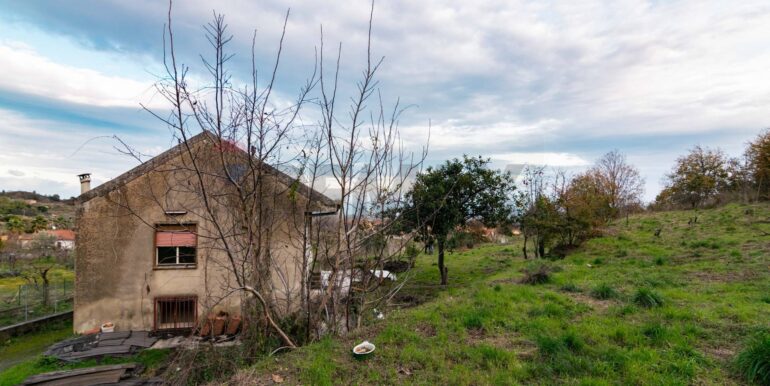 20260210134838-1023988-6