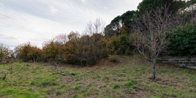 20260210134907-1023988-13