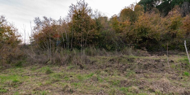 20260210134915-1023988-15