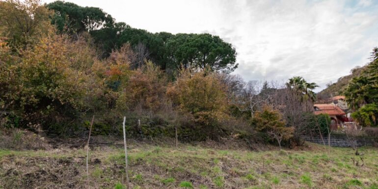 20260210134919-1023988-16