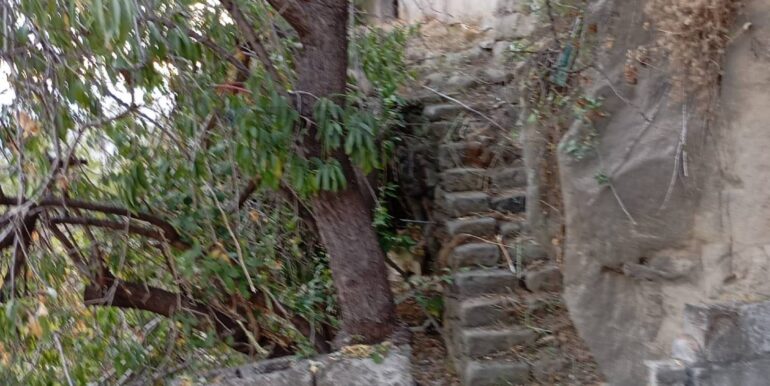 20260210172035-1024072-0