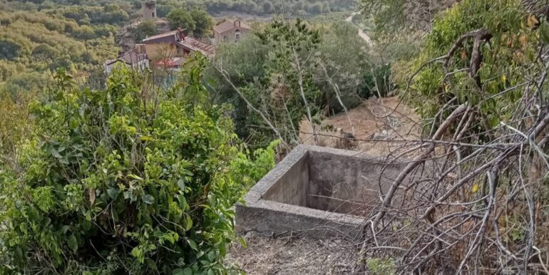 20260210172035-1024072-1