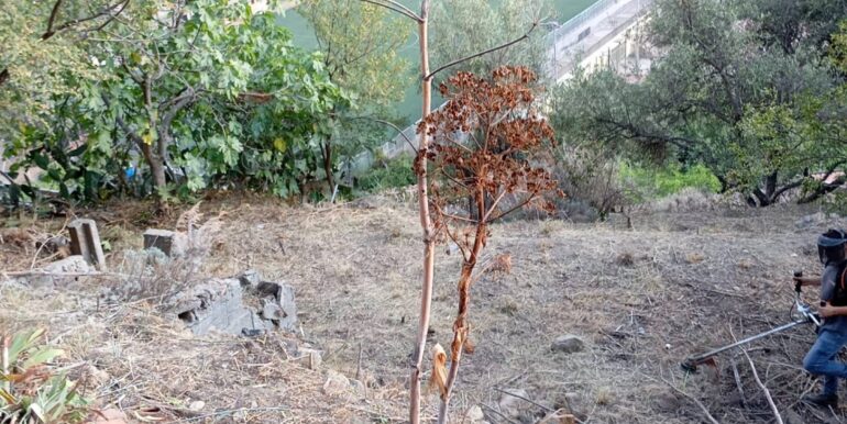 20260210172036-1024072-2