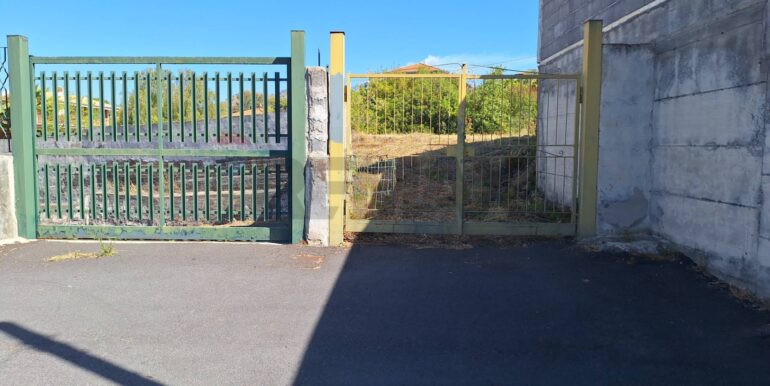 20260210185239-1024108-0