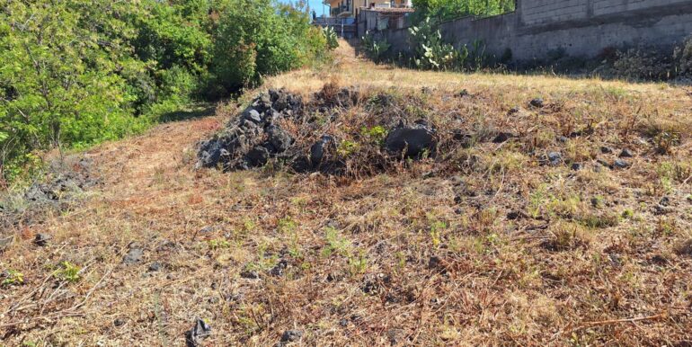 20260210185239-1024108-1