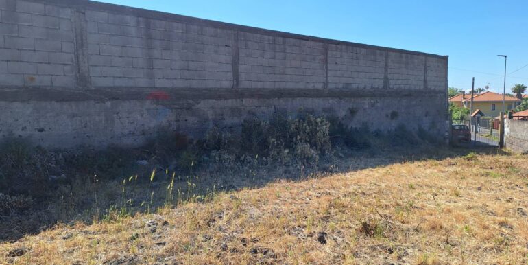 20260210185240-1024108-2