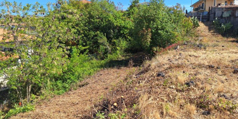 20260210185241-1024108-3