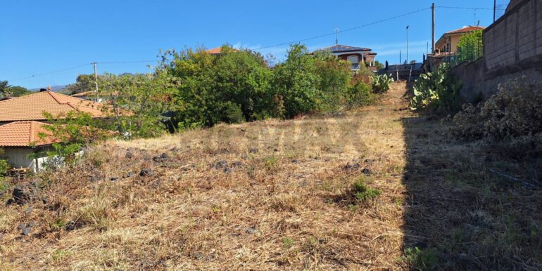 20260210185241-1024108-4