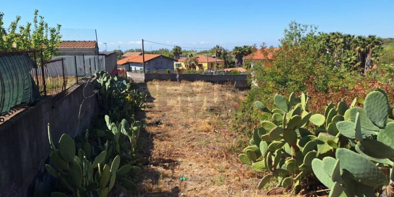 20260210185242-1024108-5