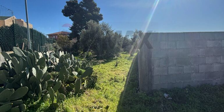 20260217114053-1025382-1