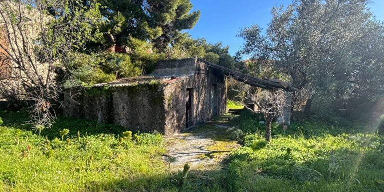 20260217114059-1025382-2