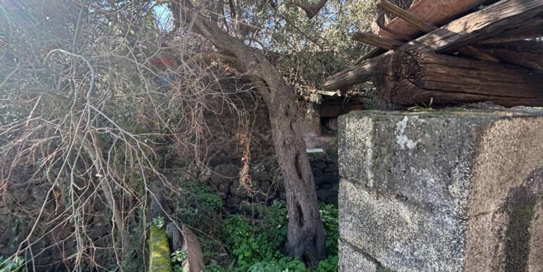 20260217114105-1025382-3