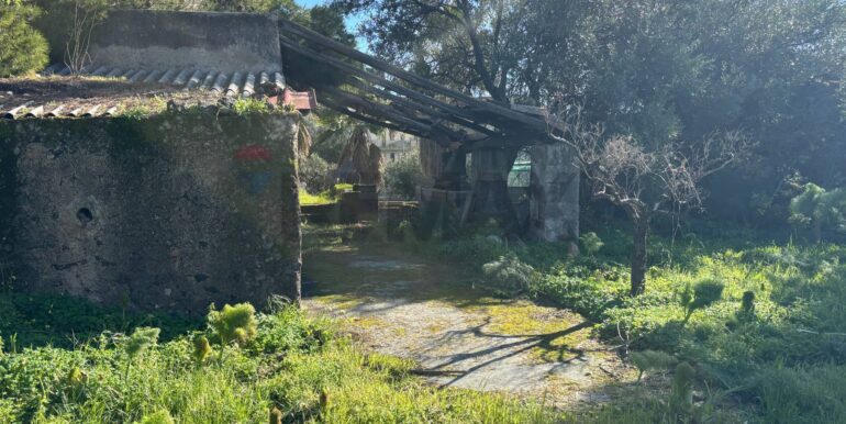 20260217114112-1025382-4