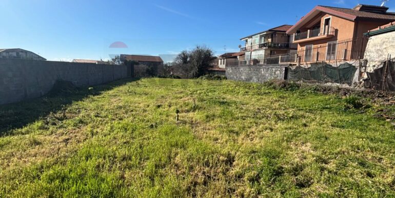 20260217114123-1025382-6