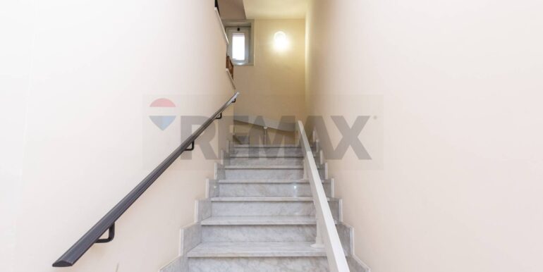 20260224101305-1026958-20