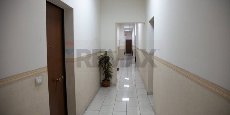 20260224103327-1026978-19