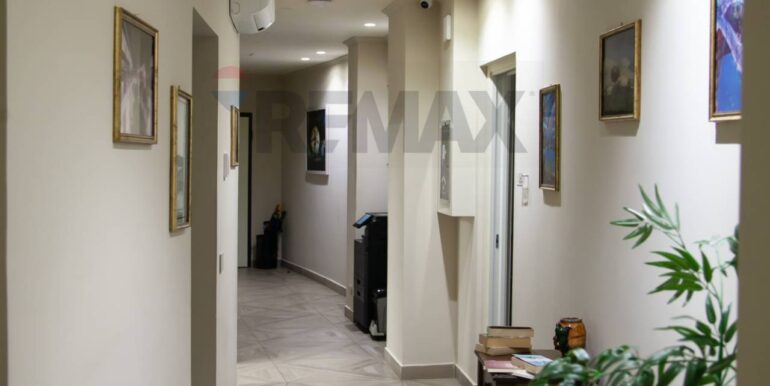 2026022495352-1026959-5