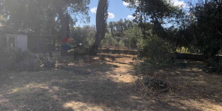 20250920164927-986066-6