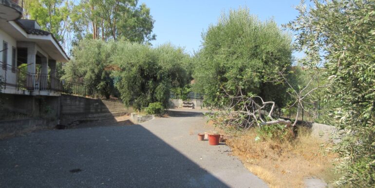 20260219101317-1026016-5