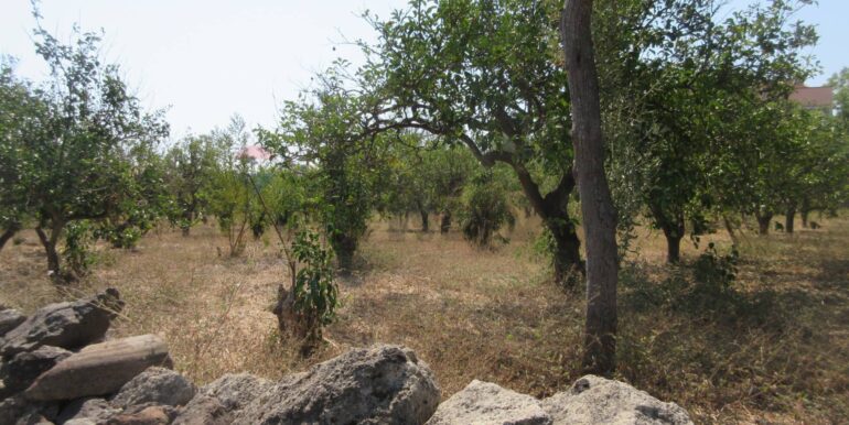 20260219101318-1026016-6