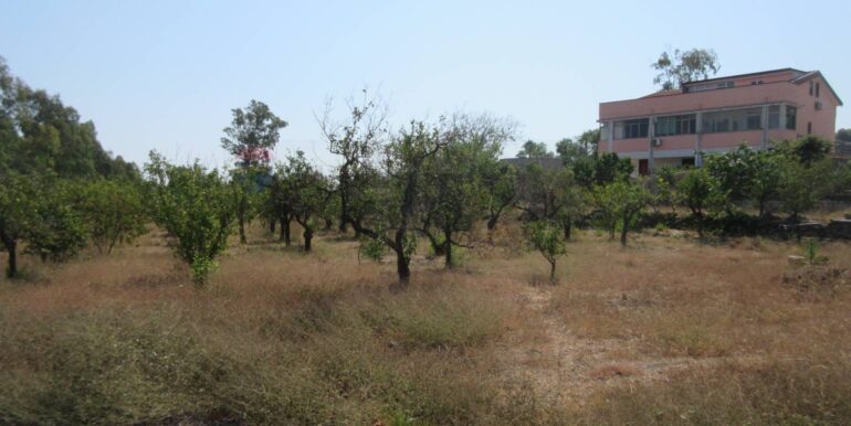 20260219101319-1026016-9