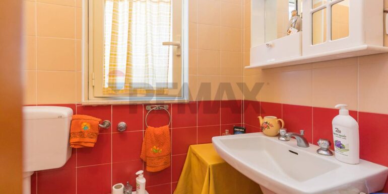 20260219113821-1025768-9