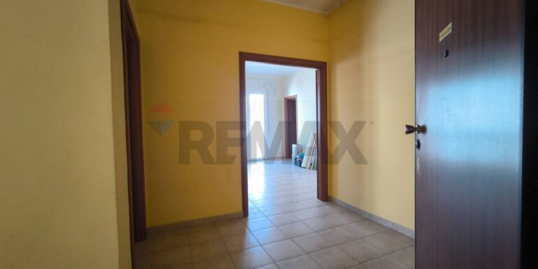 20260219120817-1026060-5