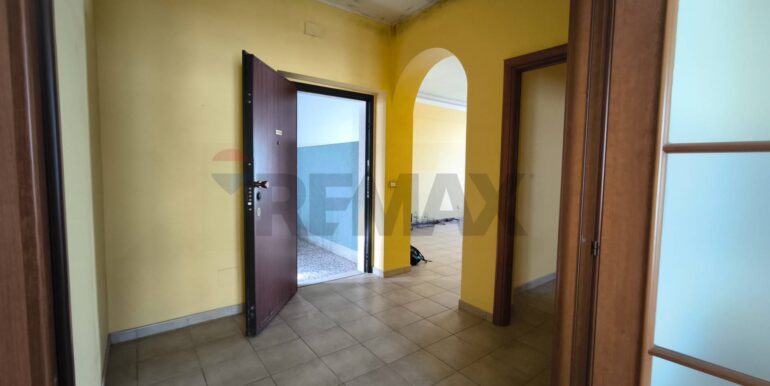 20260219120819-1026060-6