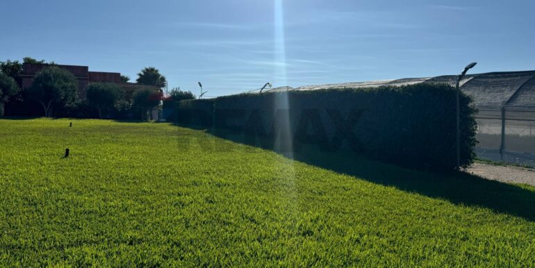 20260220103404-1026229-1