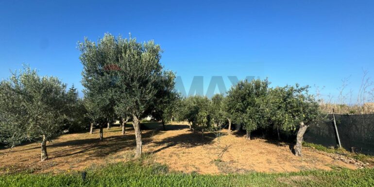 20260220103404-1026229-3