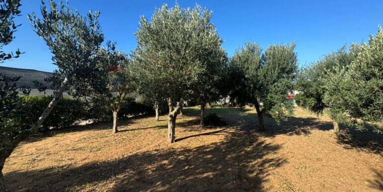 20260220103405-1026229-4