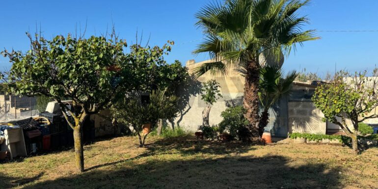 20260220103405-1026229-5