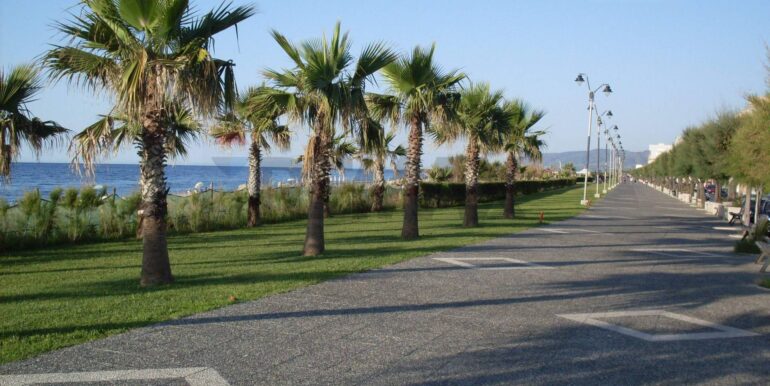 20260227111226-1026439-1