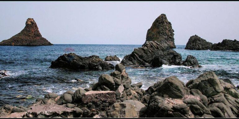 20260227162627-1026499-14